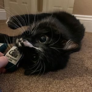 Meet your Posher, DB